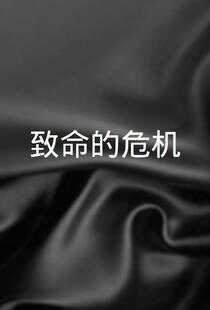 致命的危机海报