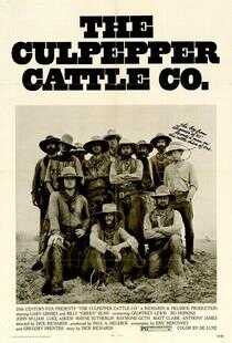 牛仔路漫漫海报