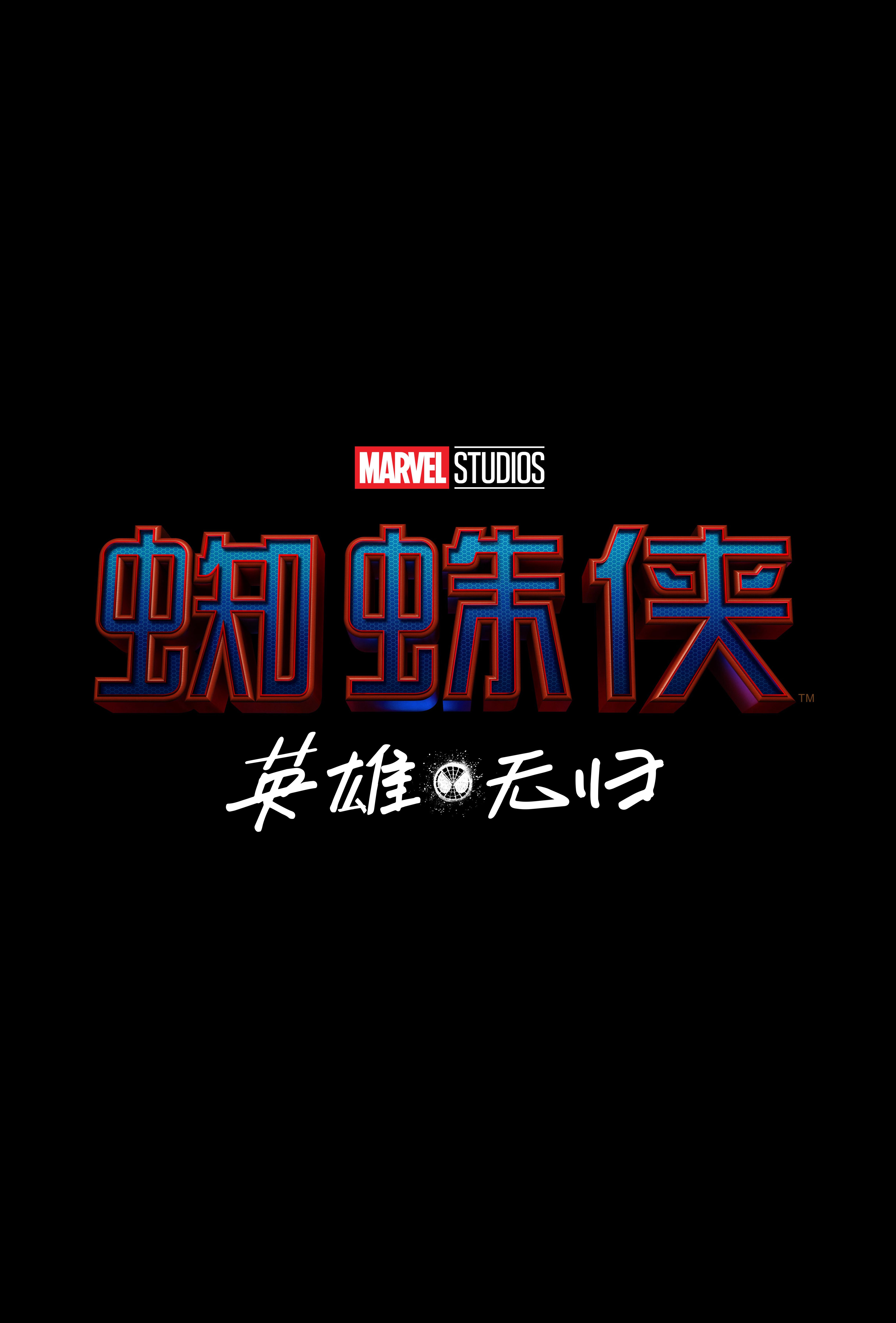 蜘蛛侠：英雄无归海报