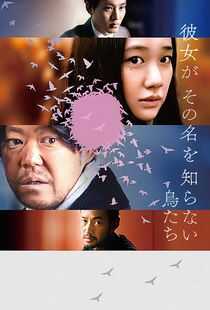 她不知道名字的那些鸟儿海报