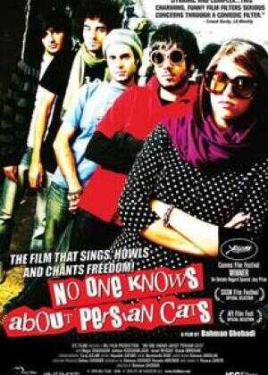 无人知晓的波斯猫海报