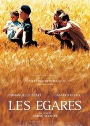 灰眼珠的男孩海报