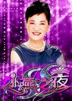 SS小燕之夜海报