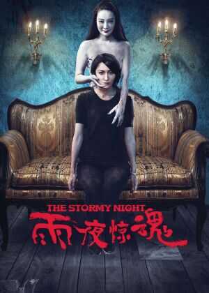 雨夜惊魂海报