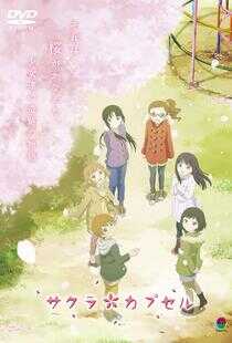 樱花树下的时间胶囊