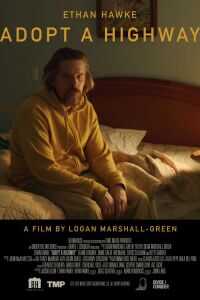 捡来的孩子海报