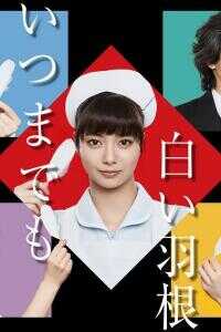 永远的白羽毛海报