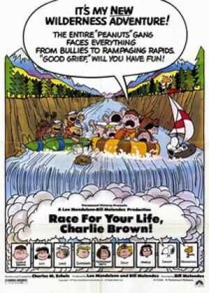 史努比的惊险夏令营海报