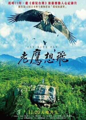 老鹰想飞海报