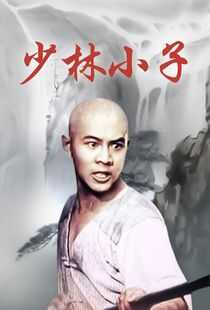 少林小子海报