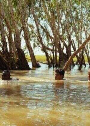 疯狂的混蛋海报