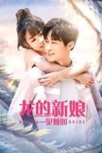 龙的新娘:一见倾心海报