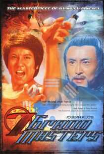 虎豹龙蛇鹰海报