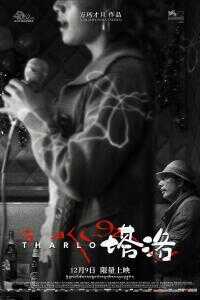 塔洛海报