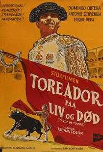 公牛的下午海报