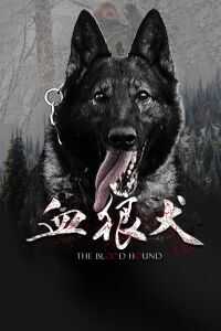 血狼犬海报
