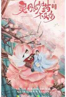 灵丹妙药不及你海报