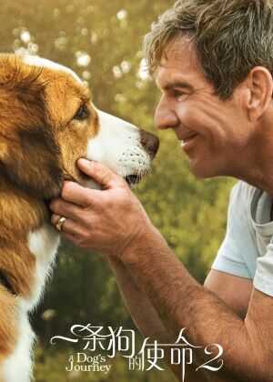 一条狗的使命2海报