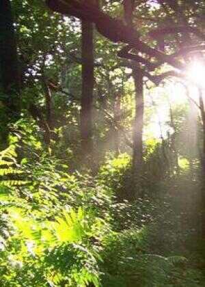 夏威夷实境之旅海报