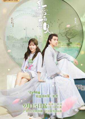 亲爱的吾兄海报