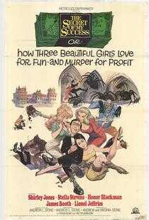 我的成功秘密海报