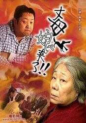 丈母娘来了海报