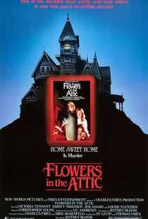 阁楼里的花海报