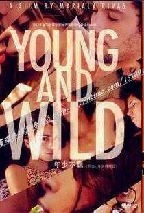 年少与轻狂海报