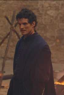 美第奇家族:翡冷翠名门 第二季海报