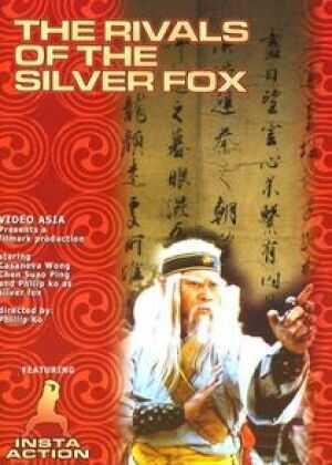 南拳北腿斗金狐海报