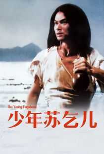 少年苏乞儿海报