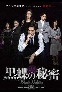 黑蝶的秘密海报