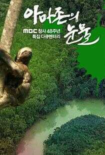 亚马逊的眼泪海报