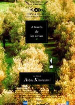 橄榄树下的情人海报