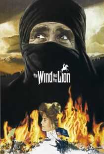 黑狮震雄风海报