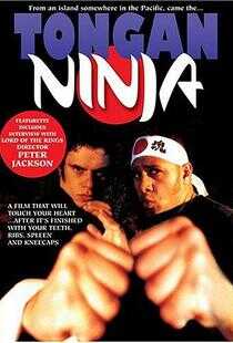 汤加忍者海报