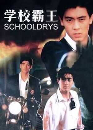 学校霸王海报
