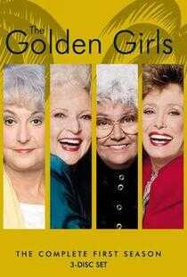 黄金女郎 第一季海报