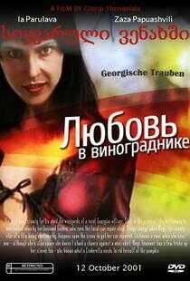 格鲁吉亚葡萄海报