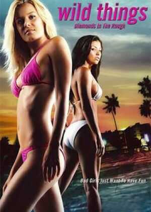 玩尽杀绝3:钻石计划海报