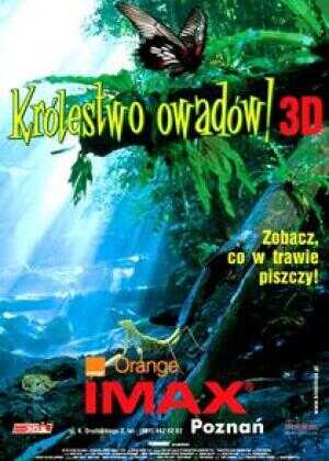 虫子：热带雨林冒险海报