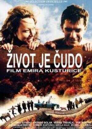 生命是个奇迹海报