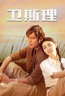 卫斯理海报