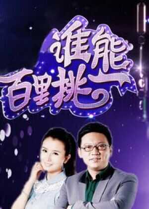 谁能百里挑一海报