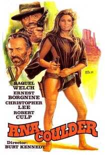 复仇的女枪手海报