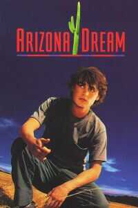 亚利桑那之梦海报