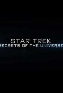 星际迷航:宇宙的秘密海报