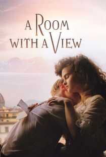 看得见风景的房间海报