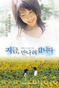 借着雨点说爱你海报