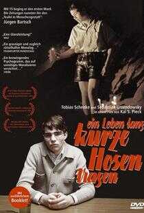 我从未年少海报